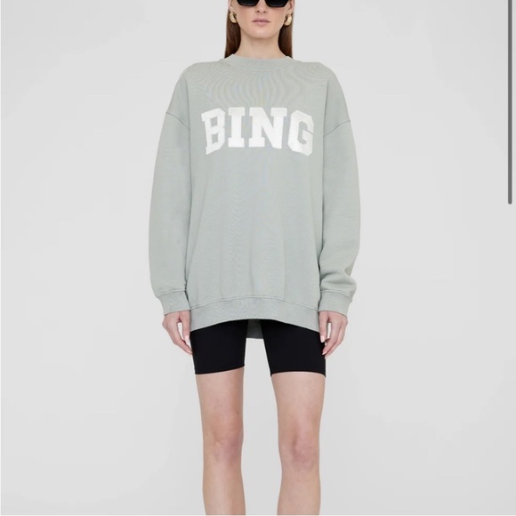 Anine Bing Tyler Satin Bing Sweatshirt in Sage - Picture 11 of 11